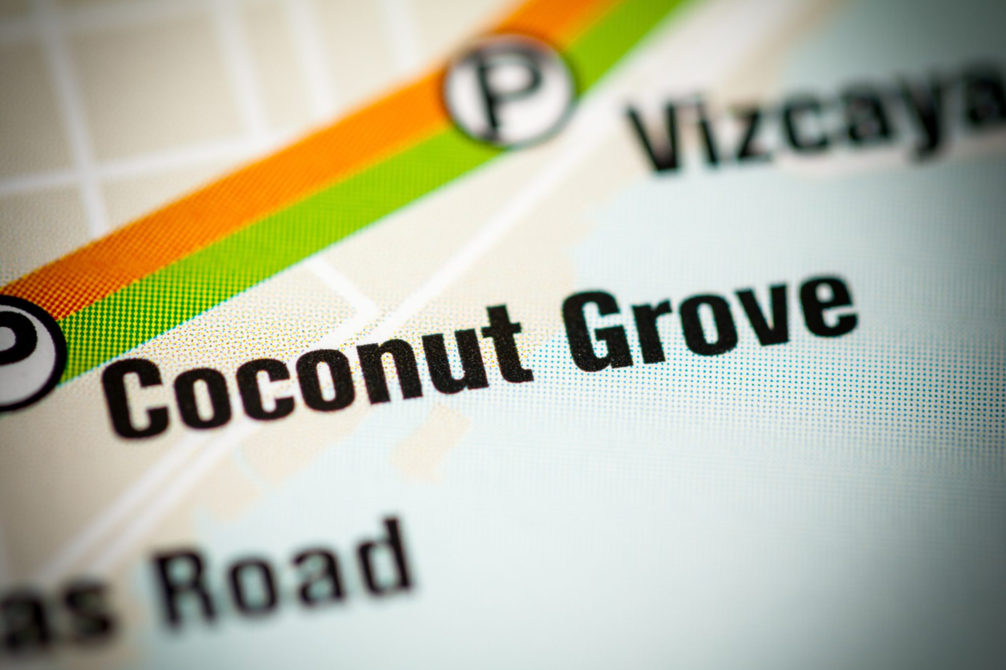The Ultimate Coconut Grove Lifestyle Guide