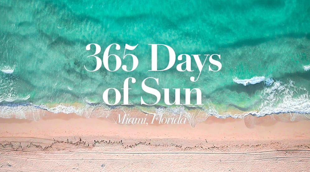 365 Days of Sun
