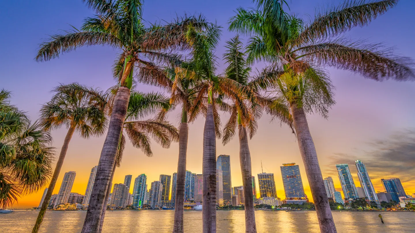 Why Miami Continues to Lead the Luxury Real Estate Market